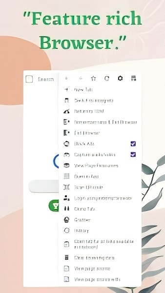 Feature rich Browser