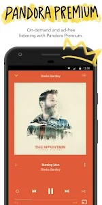 pandora premium